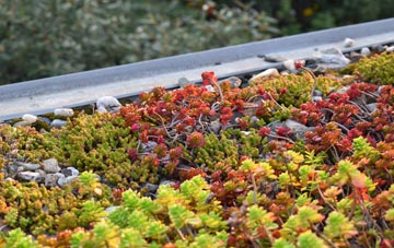 the cost of Bellbrae green roof installation