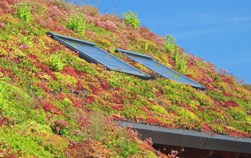 Bellbrae living roof systems